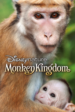 Disneynature Monkey Kingdom