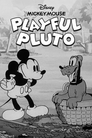 Pluto i skojartagen