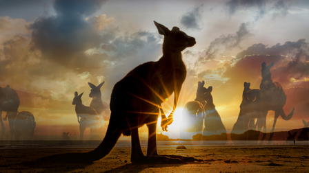 Australia salvaje
