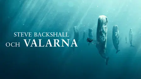Steve Backshall och valarna