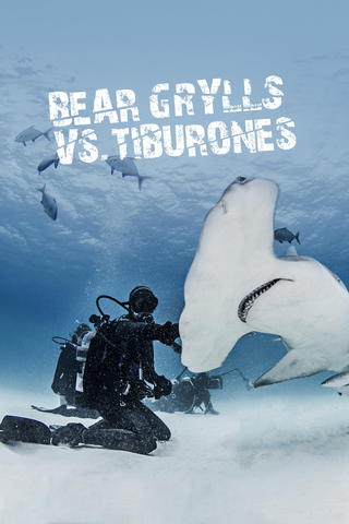 Bear Grylls contra el tiburón