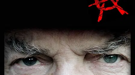 Bayer, Los cuentos del timonel