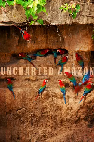 Uncharted Amazon