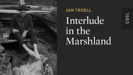 Interlude in the Marshland