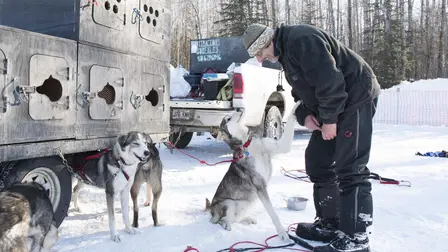 Iditarod, la dernière course de Nicolas Vanier
