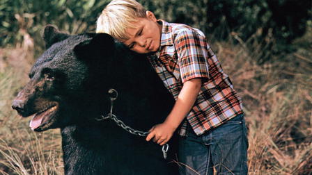 Gentle Giant