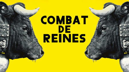 Combat de reines