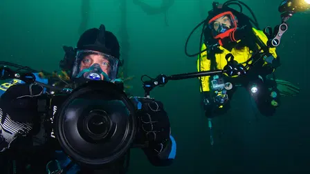 Los tiburones de las tinieblas