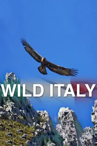 Wild Italy: Top Predators