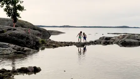Spotlight: Koulupakolaiset