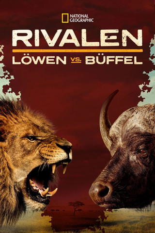 Veriviholliset: Leijona vs. puhveli