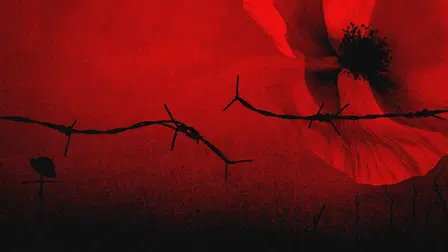 The Somme 1916: From Both Sides of the Wire
