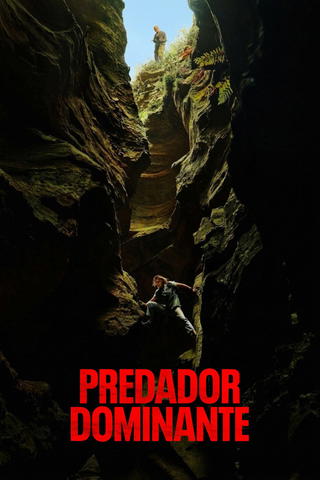 O Jogo do Predador