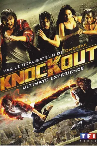 Knockout Ultimate Experience