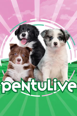 Pentulive 2024