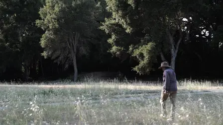 Into the Woods - Sharing a Future With Forests