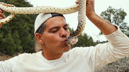 Wild Frank en California