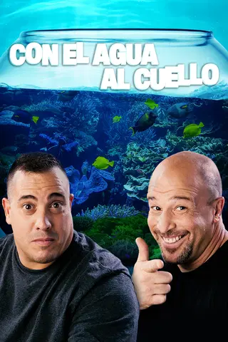 Acuarios XXL