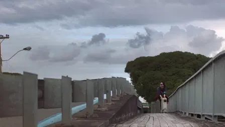 The Justice of Bunny King