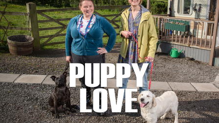 Puppy Love