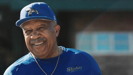 A Long Way from Home: The Untold Story of Baseball's Desegregation