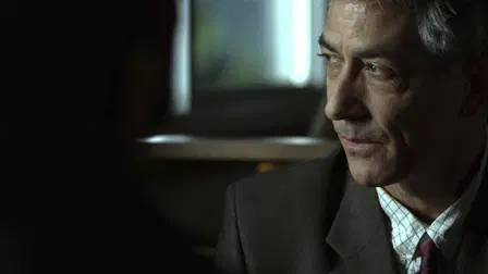 The Sensation of Sight