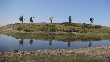 Footprints, the Path of Your Life