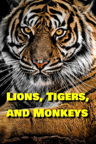 Lions, Tigers, and Monkeys