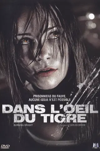 Dans l'œil du tigre