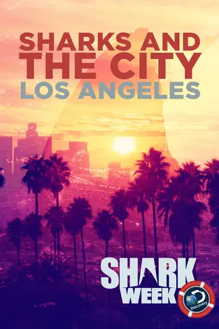 Tubarões em Los Angeles