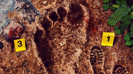 Secuestrada por Bigfoot