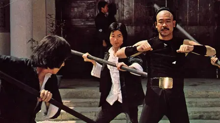 Tiger & Crane Fists