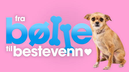 Fra bølle til bestevenn