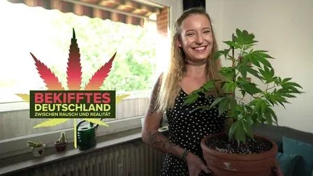 Bekifftesland - Zwischen Rausch und Realität