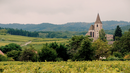 Wine Masters: Alsace