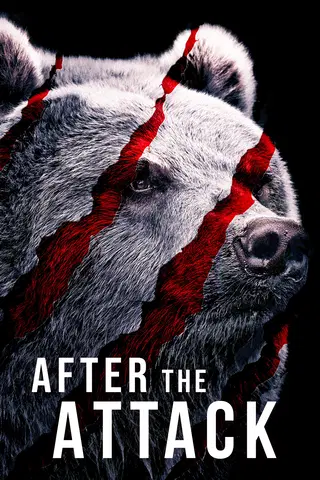 After the Attack