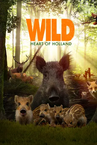 Wild