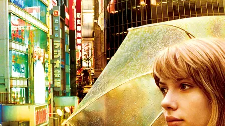 Lost in Translation