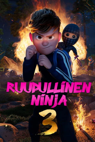 Ruudullinen Ninja 3