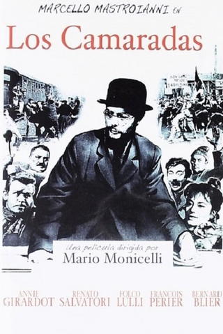Los Camaradas