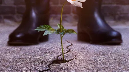 The Man in the High Castle