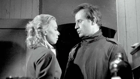 Seagulls Die in the Harbour