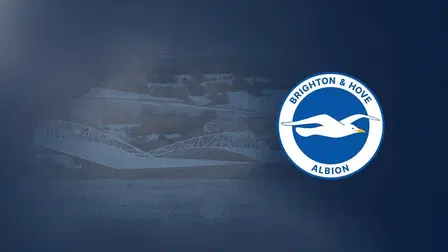 Stand or Fall: The Remarkable Rise of Brighton & Hove Albion