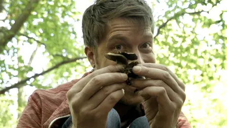 Psychonautics: A Comic's Exploration of Psychedelics