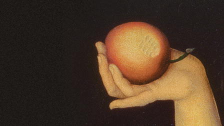 Lectura de la literatura bíblica: Del Génesis al Apocalipsis