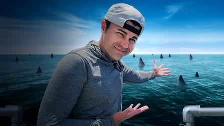 Mark Rober's Shark Experiment