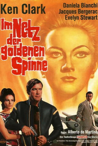 Im Netz der goldenen Spinne