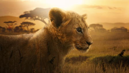 Lion
