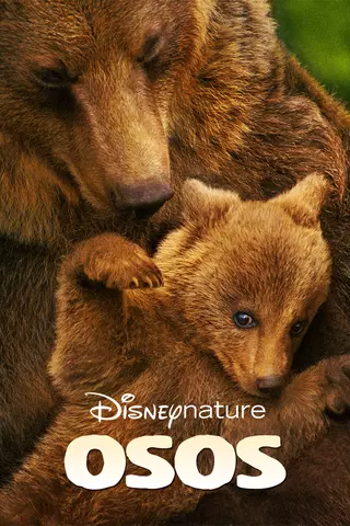 Osos