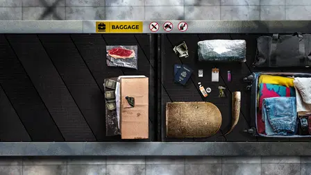 To Catch a Smuggler Snap-Ins
